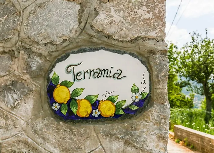 Terra Mia